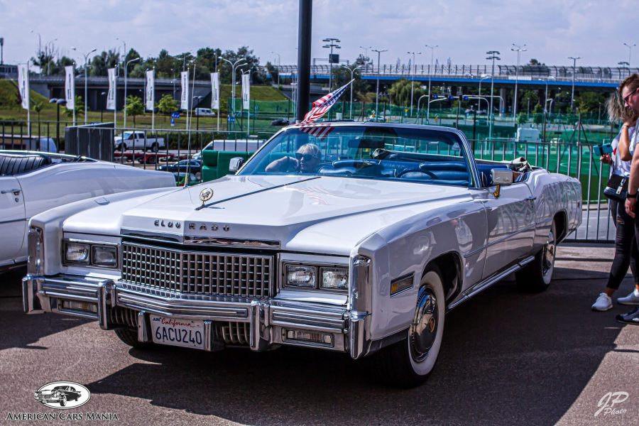 American Cars Mania. Setki klasycznych, amerykańskich aut we Wrocławiu